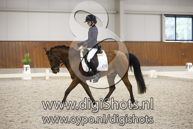 Denzell van t Luykinbosch