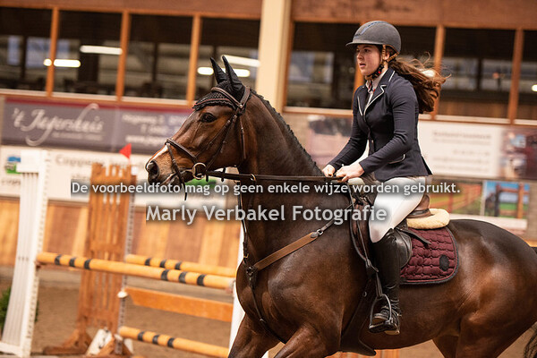 Asten B paarden 19-01-2020