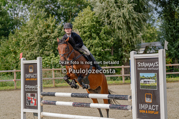 Bucephalus ponys 80/90/100