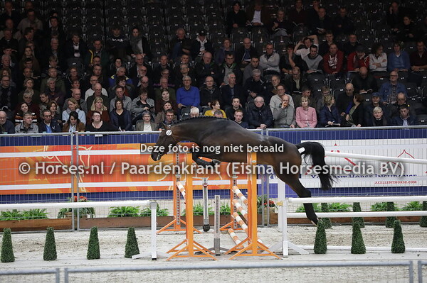 194 Montana (Numero Uno x Clinton x bernstein) (1)