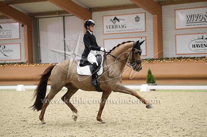 Morgan Barbancon - Habana Libre A