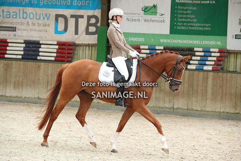 KNHS Regio Utrecht Kampioenschappen Verenigingsdressuur 05-07-2025 