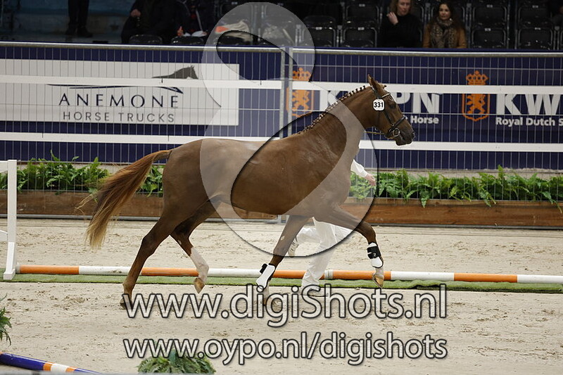 Romain Norel v. Donier - 331