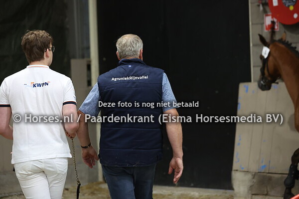 3 Royal Blue NJ (Carrera VDL x Irango Blue )