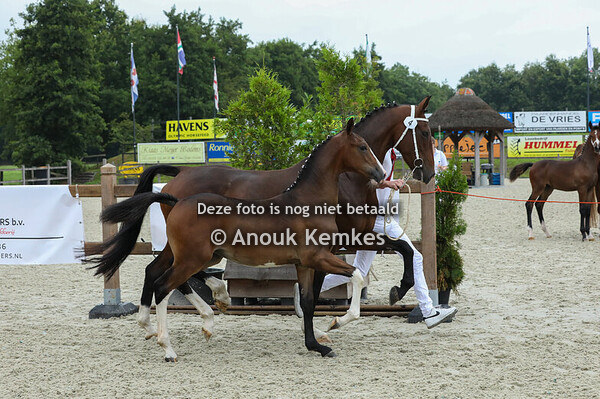 4 - Viamexx ( Icellie x Cizandro )