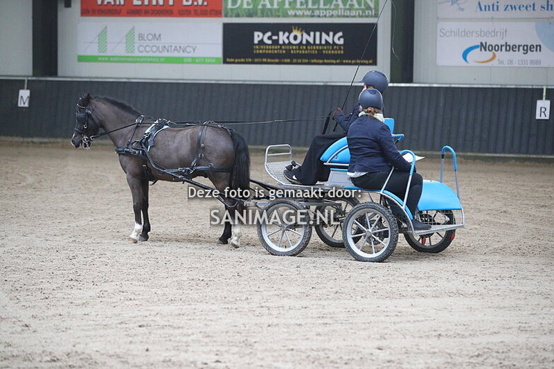 De Meern Mennen Dressuur 25-01-2025 Enkelspan B/L 9.20 - 11.00 uur