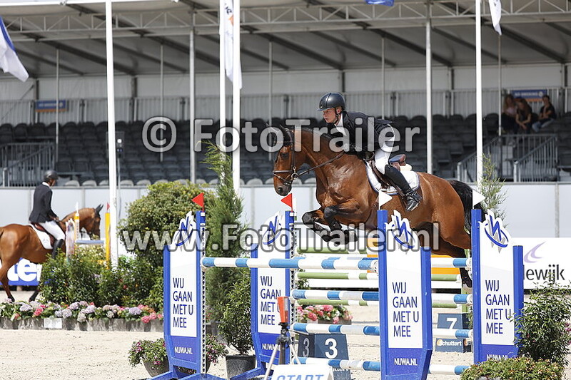 dennis van den brink