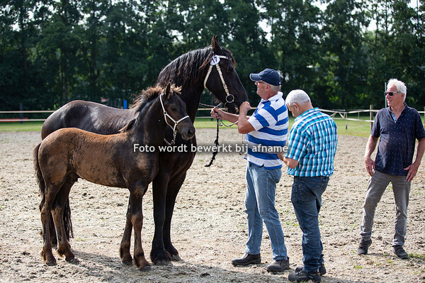 17. Maano la Posthoorn