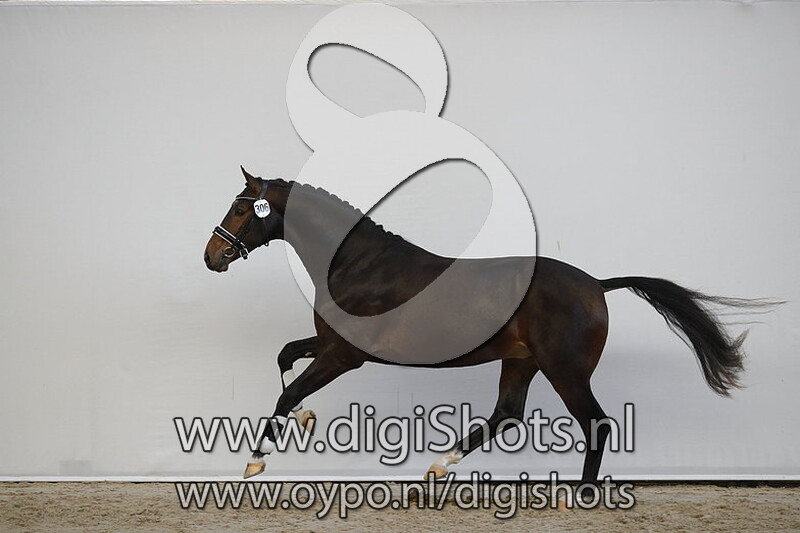 Mangetsu v. Blue Hors Farrell