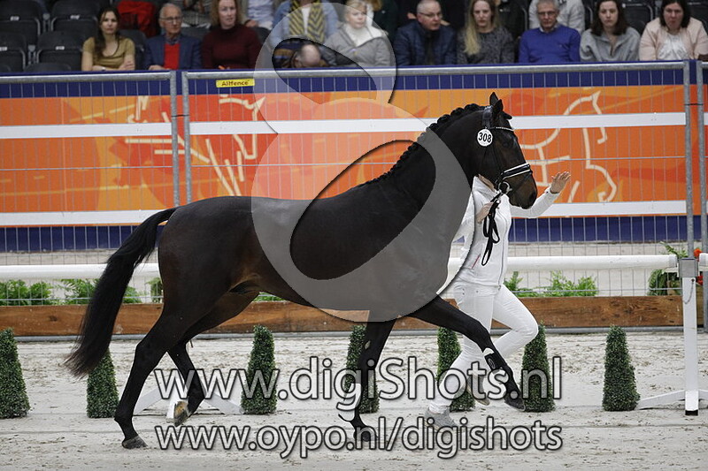 Mauritius Taonga 308