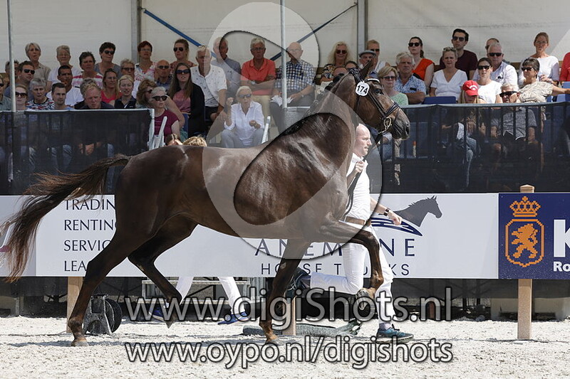 Parmante v. Taminiau