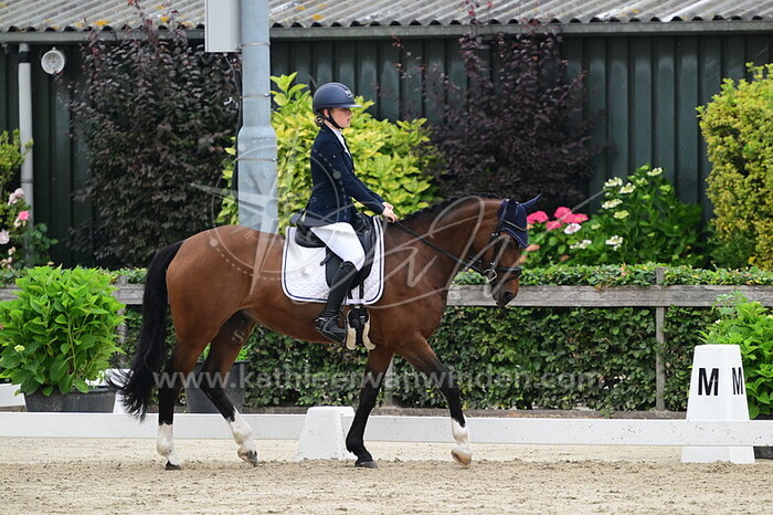 Rosa Lampert - LM's Marshylands Akira