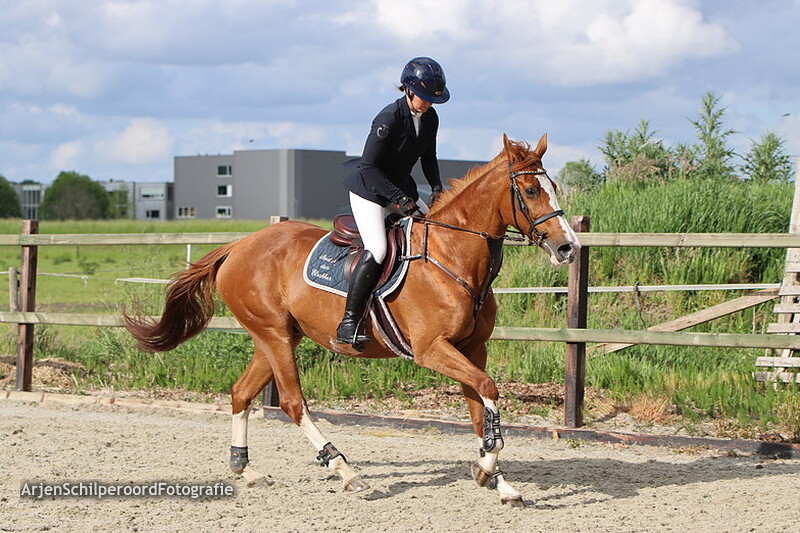Hippisch Festijn PSV Polarfurst 2022 Prijsuitreiking Z