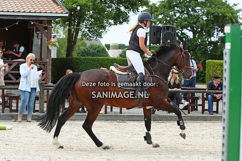 Jumping Tolboom 31-05-2025 Springen Paarden 120 cm