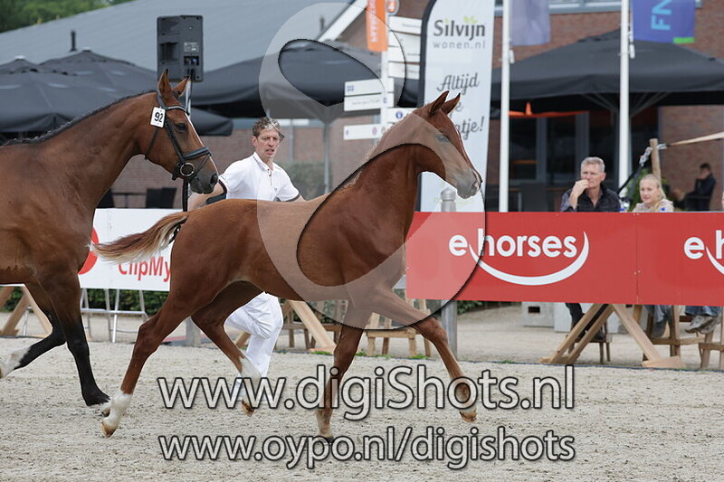 Vrolijke Noot F v. Le Formidable