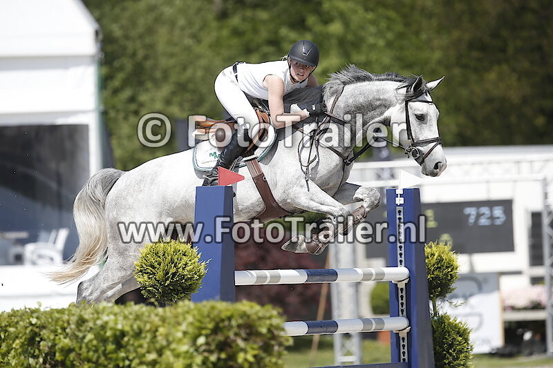 Anoek van der Pluijm