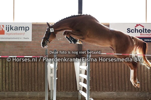 13-7-2020 Stamboekkeuring KWPN Luttenberg