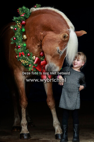 Kerstshoot stal Schraa