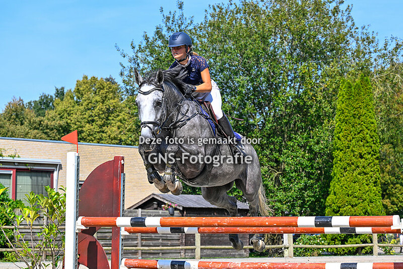 Springen Paarden RSC Breda zondag 10 september Klasse 120 - 125 - 130 cm.