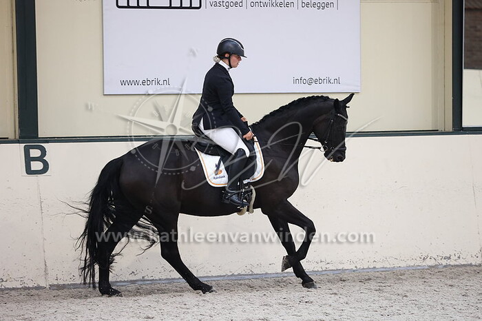 Melissa Zom - Conquistador