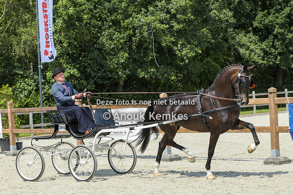 Pauline ( Lanto x Atleet ) Alternatieve Ibop = GESLAAGD 