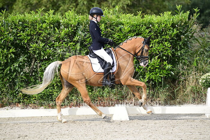 Kate Jansen - FS Mr. Magic