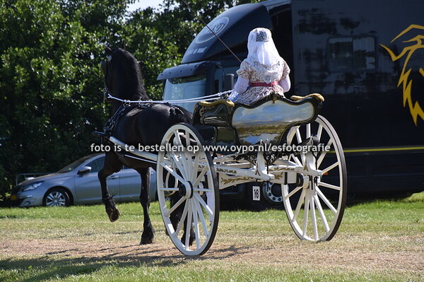 21-6-2025 Concours Hippique Drogeham (deel 1)