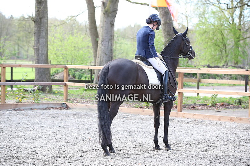 RC Henschoten Maarn Dressuur 07-04-2024 15.15 uur