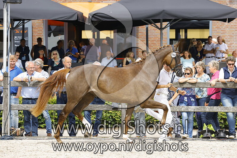 166 Nikita v. Skovens Rafael