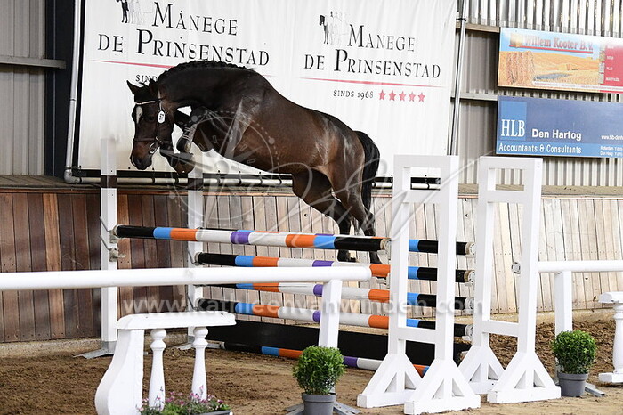 Oxford van de Hagenhorst