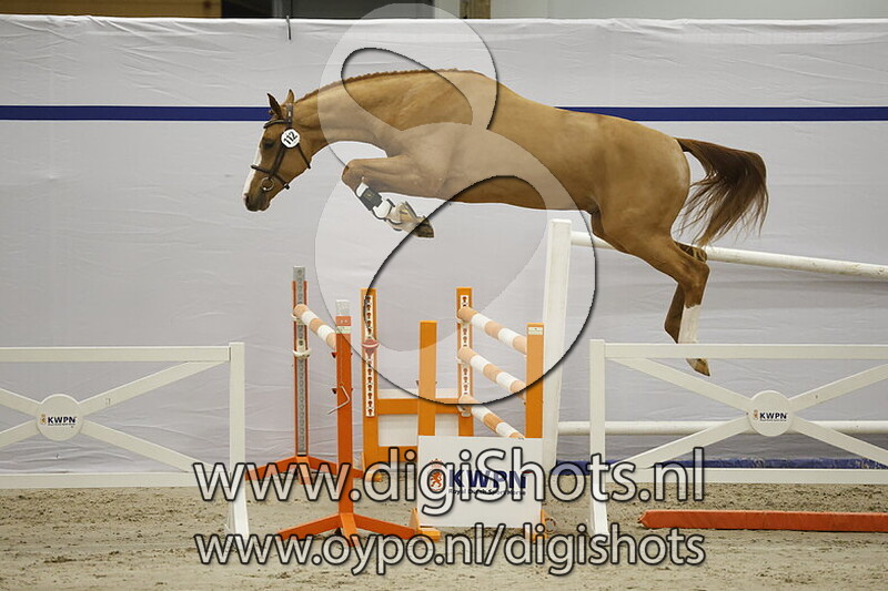 Safwan VM v. Lay Out