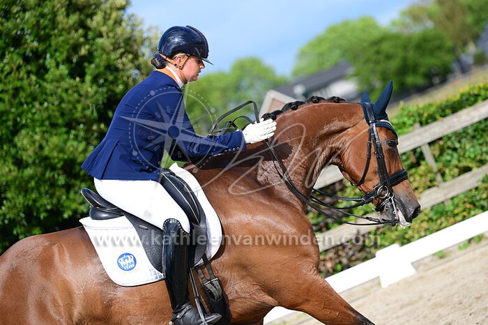 Lotje Schoots - Mufasa