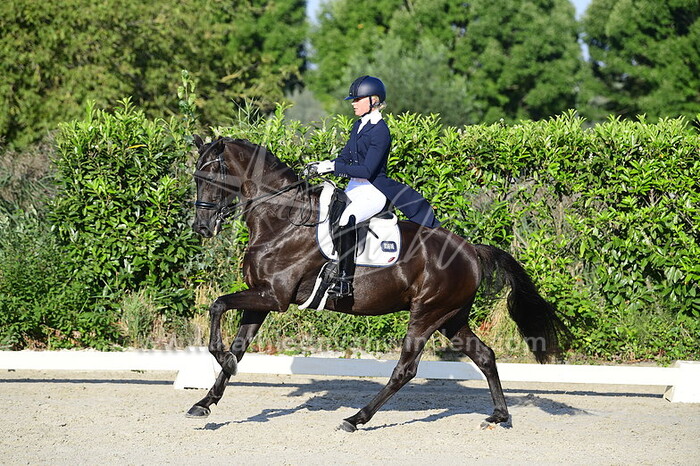 Meghan Muhlebach - Let's Play