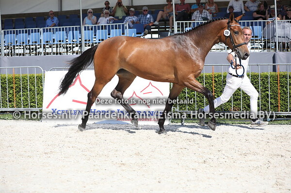 59 La Vie (Graziano x Vicoly v. Hamlet) (1)