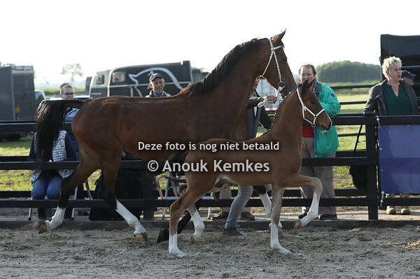 Unesco GSM ( Neon GSM x Innovatief )