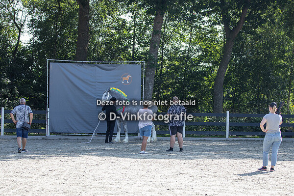 13. 3 jarige merries