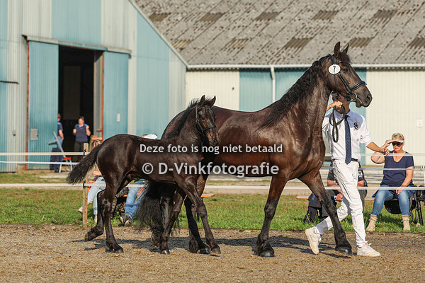 07. Ensor van 't Grenshof