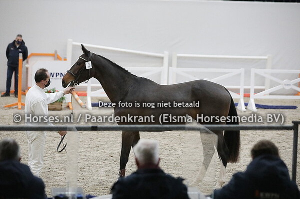 2 O (Action Breaker x Vadottie v. Indoctro)