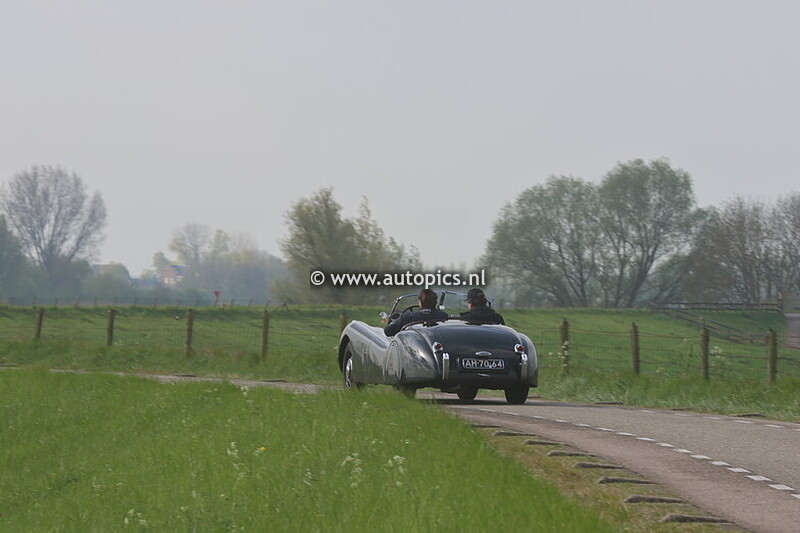 Venniper Koninginnerit 2025