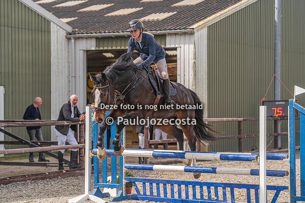Paarden 90cm De Wieringermeerruiters 06-04-2024