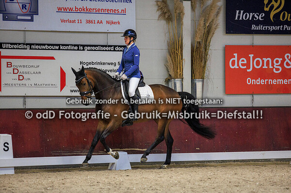 Dressuur Neuderuiters Z-ZZ 31-01-26