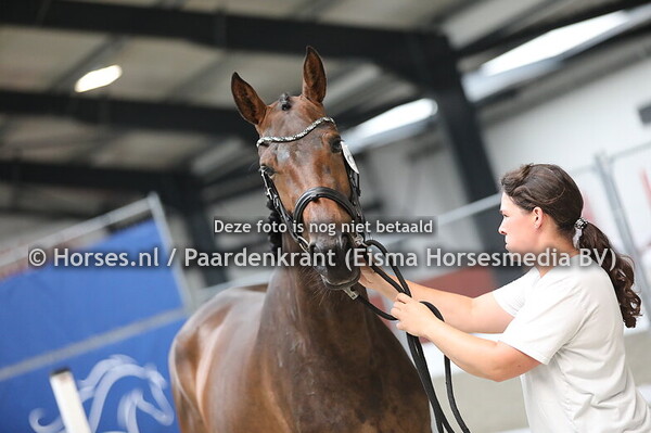 21 Palmspring Tarpania