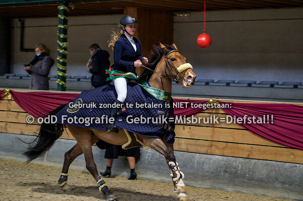 NY Jumping Warredal Finals 95cm 09-01-22