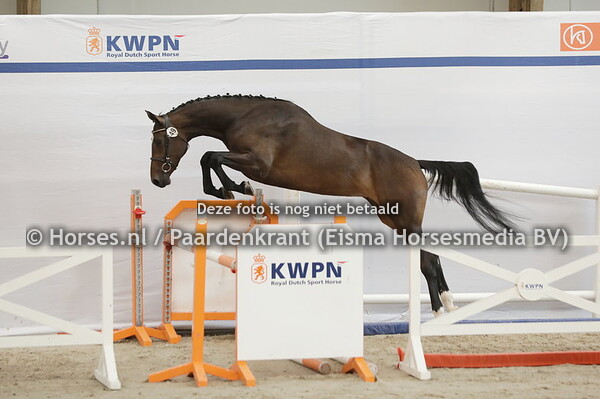 49 Peadonna vd Watermolen (Connect x Geadonna v. Quidaro)