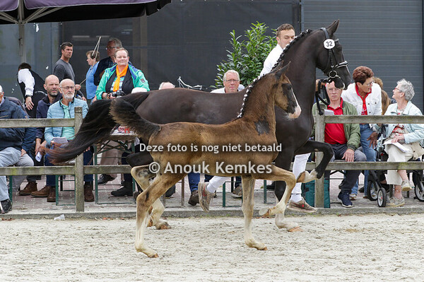 032 - ULVARO H. MACHO X SIR ARIE H.F. CNOSSEN, SINT NICOLAASGA H. EPPINGA, OUDEMIRDUM
