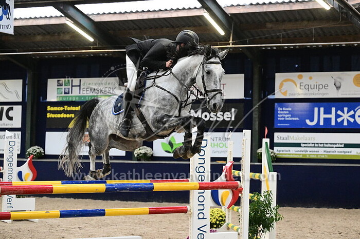 Brian Martens - Player