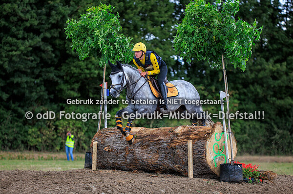 SGW West Betuwe Paarden L Pony M 23-08-25