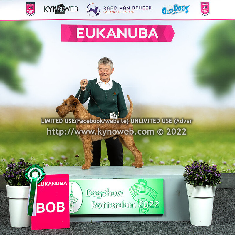 SATURDAY BOB & EXPRESS