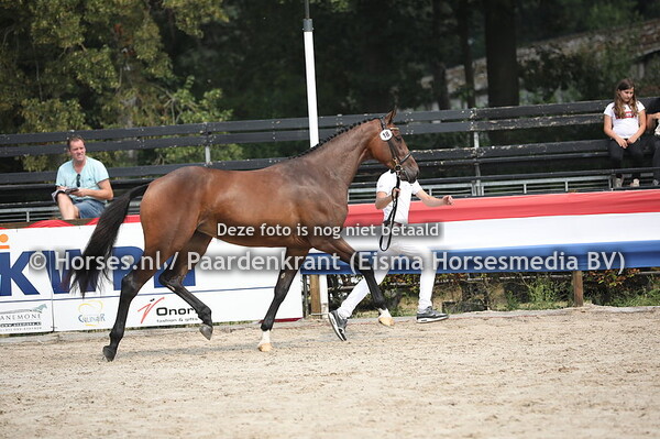 18 Larissa Rock (Connect x Charisma v. Cornet Obolensky) (1)