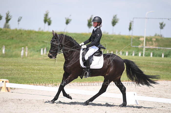 Klasse L2 M1 M2 pony's